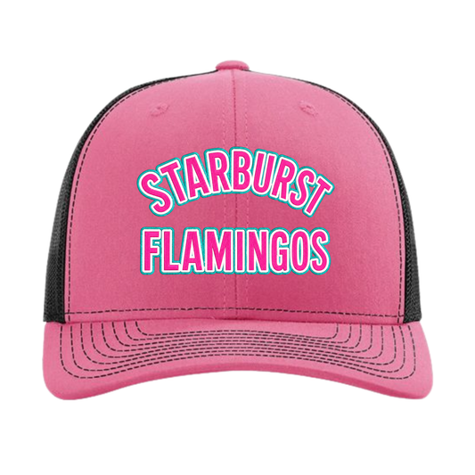 Starburst Flamingos Embroidered Trucker